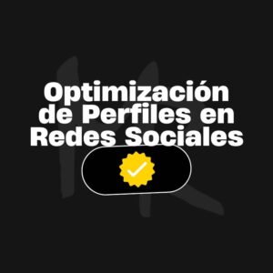 Taller optimización de perfiles en Redes Sociales